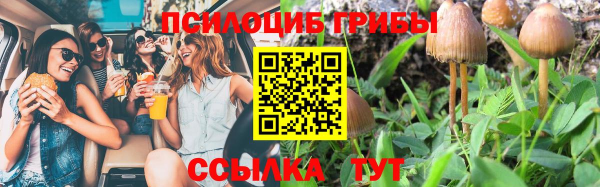 Псилоцибиновые грибы Cubensis Кирово-Чепецк