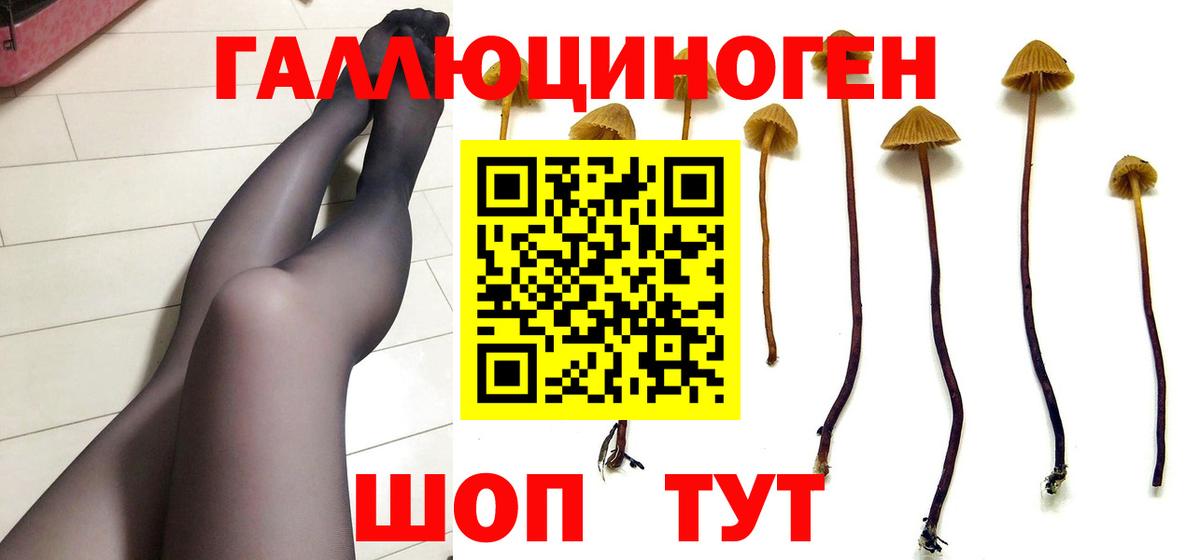 что такое наркотик  Галлюциногенные грибы прущие грибы  Вход с VPN  Кирово-Чепецк 